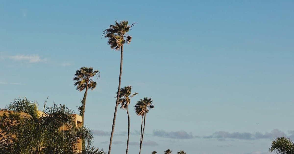 Beverlywood After the 43 Percent Spike: What Redfin's August Numbers Show